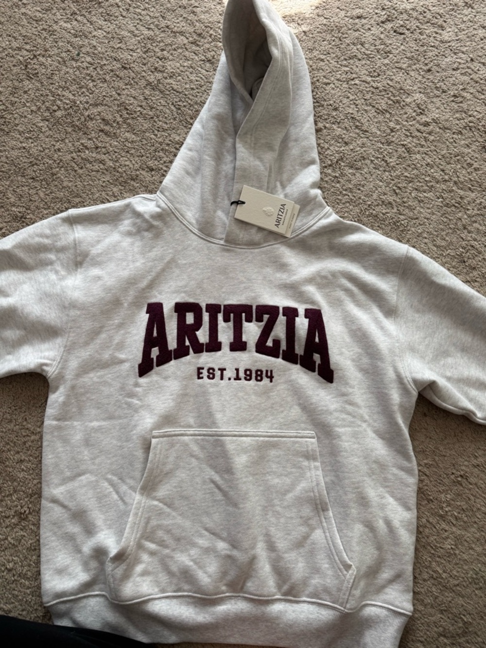 Aritzia Cardamom Gray Pullover Hoodie with White Tag